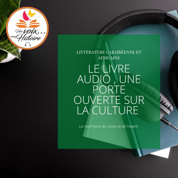Le livre Audio , Une Porte ouverte sur la Culture